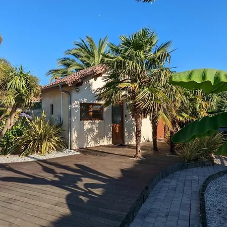 Appartement Au Milieu Des Palmiers