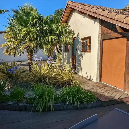 Au Milieu Des Palmiers شقة Saint-Martin-de-Seignanx