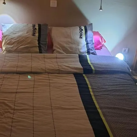 Au Milieu Des Palmiers Appartement *